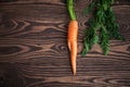 Unusual ugly organic carrot