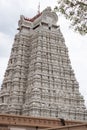 Unusual unpainted temple tower in Trichy