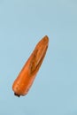 Unusual vegetables. Ugly carrot with flaws on a light blue background with copy space. Concept - Food waste reduction. Using in