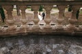 Unusual view through columns at gorgeous bride and stylish groom walking at old castle in european park in autumn time. happy Royalty Free Stock Photo