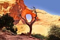 Unusual view in the Monument Valley with an arch and a tree on a sunny blue day Royalty Free Stock Photo