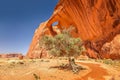 Unusual view in the Monument Valley with an arch and a tree on a sunny blue day Royalty Free Stock Photo