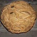 Unusual wasp hive spherical nest colored stripes