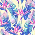 Exotic flowers, leaves in retro vanilla colors on pastel background. Royalty Free Stock Photo