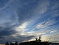 Unusual white clouds on a blue sky during sunset