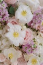 Unusual white flowers, lilies with yellow midterms amid other flowers from the floristic composition.