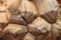 Unusual wood texture of cacti close-up