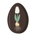 Unusual wooden or chocolate Easter egg decorated with white hyacinth flower. Vector illustration isolated on white Royalty Free Stock Photo