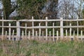 Unusual wooden fence with parallel horizontal rails and vertical posts of different lengths in a pattern