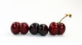 Unusually shaped cherries, fused by two berries isolated on white. Ripe juicy sweet burgundy cherry close-up. Royalty Free Stock Photo