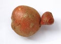 Unusually shaped potatoes grown without nitrates on a white background