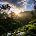 Unveiling Bali: Explore the Hidden Gems of the Island