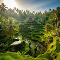 Unveiling Bali: Explore the Hidden Gems of the Island