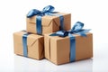 Unveiling the Mystery: Spectacular Gift Box Tied with a Brilliant Blue Ribbon!