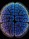Unveiling the Wonders Within The Intricate Brain Structure.AI Generated