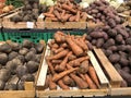 Unwashed carrots, beets and potatoes in a supermarket