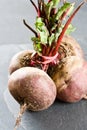 Unwashed fresh beetroot Royalty Free Stock Photo