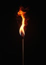 Unwavering Flames: A Bold Portrait of Hestia\'s Fierce Independen