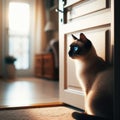 Owner\'s pet waits patiently for their return at front door