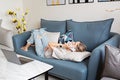 Unwell young beautiful caucasian woman lying on blue sofa at home, touching belly and calling to doctor. Menstrual Royalty Free Stock Photo