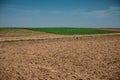 Unworked field with wheel tracks in spring near wheat land. Dirt texture with blue sky. Country dirt field texture. Royalty Free Stock Photo