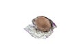 Unwrapped Chocolate Easter Egg Royalty Free Stock Photo