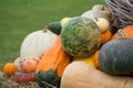 Up Close Bunch of Gourds and Squash for Autumn Display