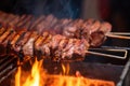 Up-close of Delicious Kebab Meat Grilling on a Sizzling Barbecue