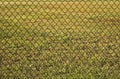 Chain Link Fence and Grass Close Up Royalty Free Stock Photo