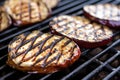 up close image of grill marks on a grilled eggplant slice