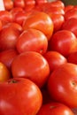 Up-close image of tomatoes at a Farmer`s Market in Wilmington, NC Royalty Free Stock Photo