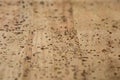 Cork leather fabric Royalty Free Stock Photo