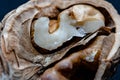 Up close macro view of a cracked walnut. Royalty Free Stock Photo