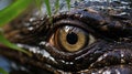 Up Close and Personal, The Alligator's Skin Reveals a Macro Assembly of Rich Shades and Intricate Royalty Free Stock Photo