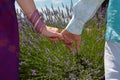 Up close photo of couple hands on lavender field