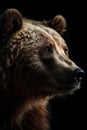 Up Close with a Real Bear: Perfect for Wildlife Posters.