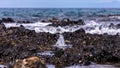 Up close shot of a tine blowhole producing stream of bubbles in a tide pool.