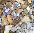 An up close view of colorful pieces of Petrified Wood