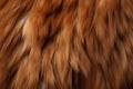 Up close view of a llamas luscious brown fur texture and color