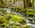 Up close with Wild river flowing through the Smokeys, TN Royalty Free Stock Photo