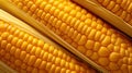 up corn close-up Royalty Free Stock Photo