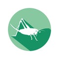 Vector design of wooden grasshopper insect icon