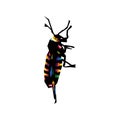 illustration design of colorful plant pest insects