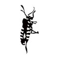 silhouette design of plant pest insects line art