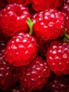 Fruit close ripe food summer red up berries raspberry organic macro eating