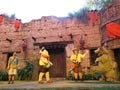 Up - A Great Bird Adventure show at Disney`s Animal Kingdom Park, near Orlando, Florida