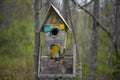 `up on 110st` dilapidated bird house with dichroic glass windows