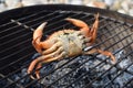 Up turned orange crab ready to cook on the barbecue