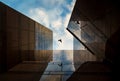 Up view on modern business building and bird flying on background. City urban architecture tower.