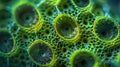 An upclose image of a pollen grain showing tiny pores and grooves that seem to glow under the microscopes light. .
